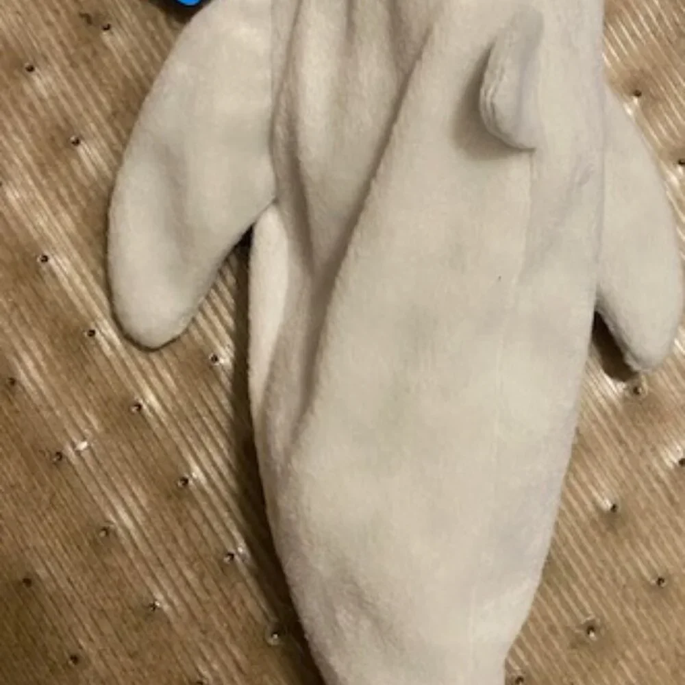 POPEYES PENCIL CASE * GRAY SHARK*